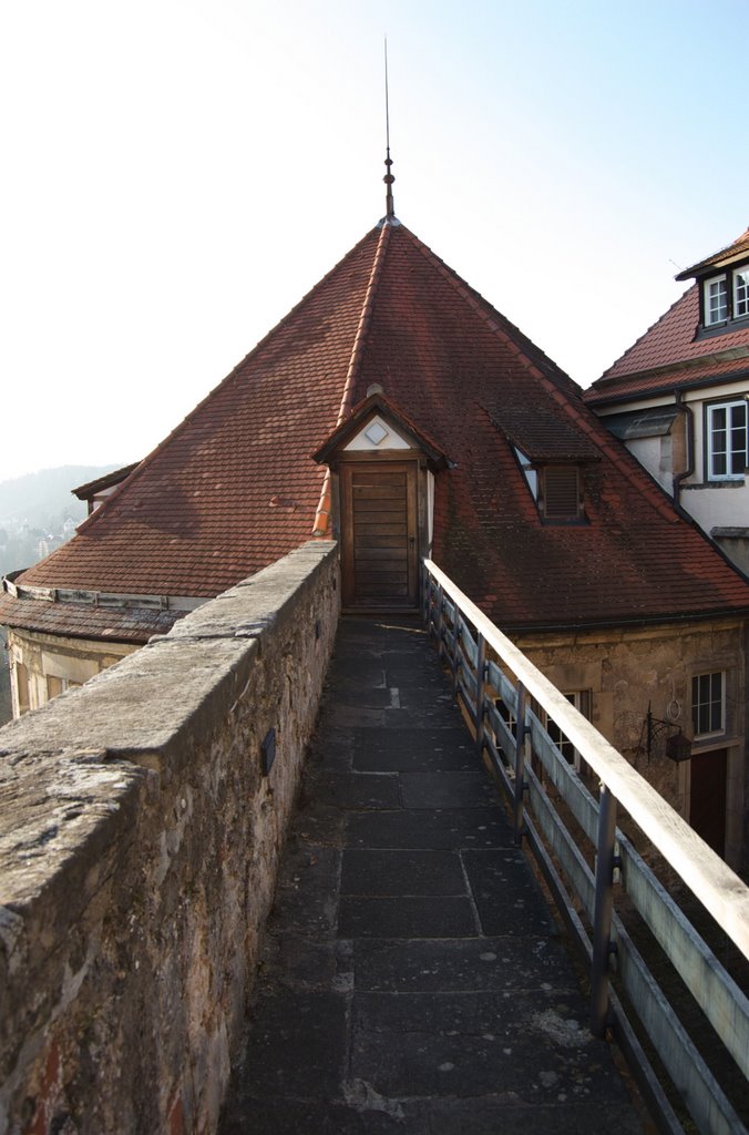 Schloß Hohentübingen by The Nunchuk