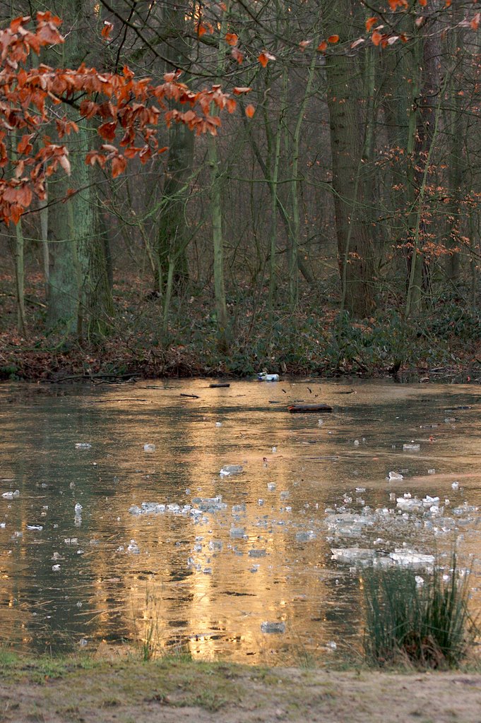 Winter im Stadtwald Rheydt by blomert