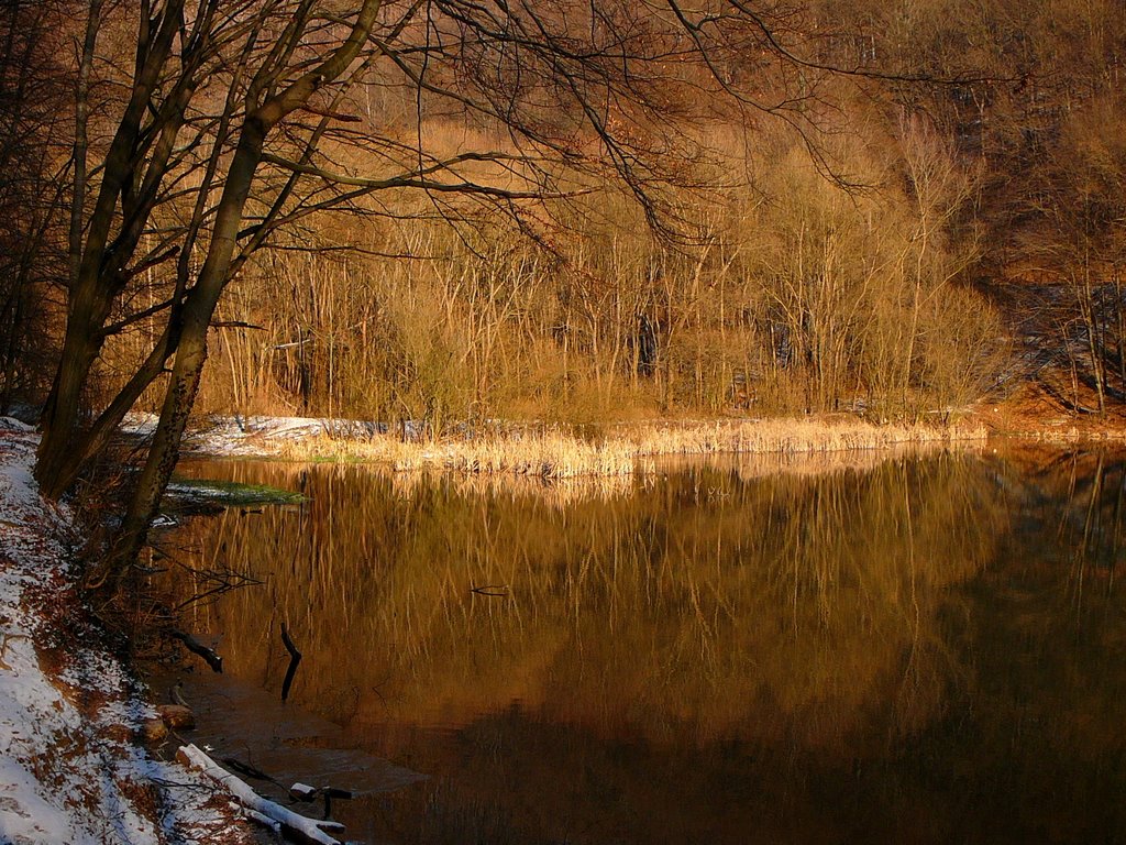 Lillafüred, Hámori-tó, tóvégi tükörkép (Lillafüred, Lake Hámori, reflection) by Imre Éri (ériimi)