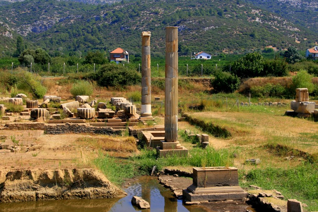 Claros antik kenti, İzmir (2008) by Ömer Önüt by omeronut