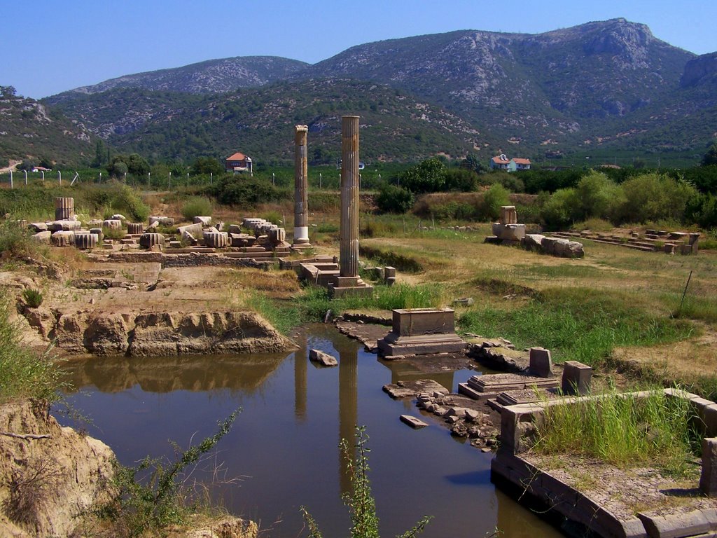 Claros antik kenti, İzmir (2008) by Ömer Önüt by omeronut