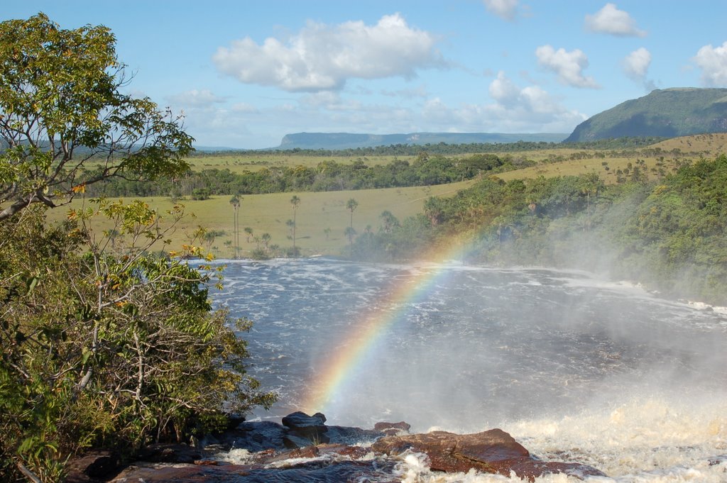 Salto el sapito by rafaelzerpa