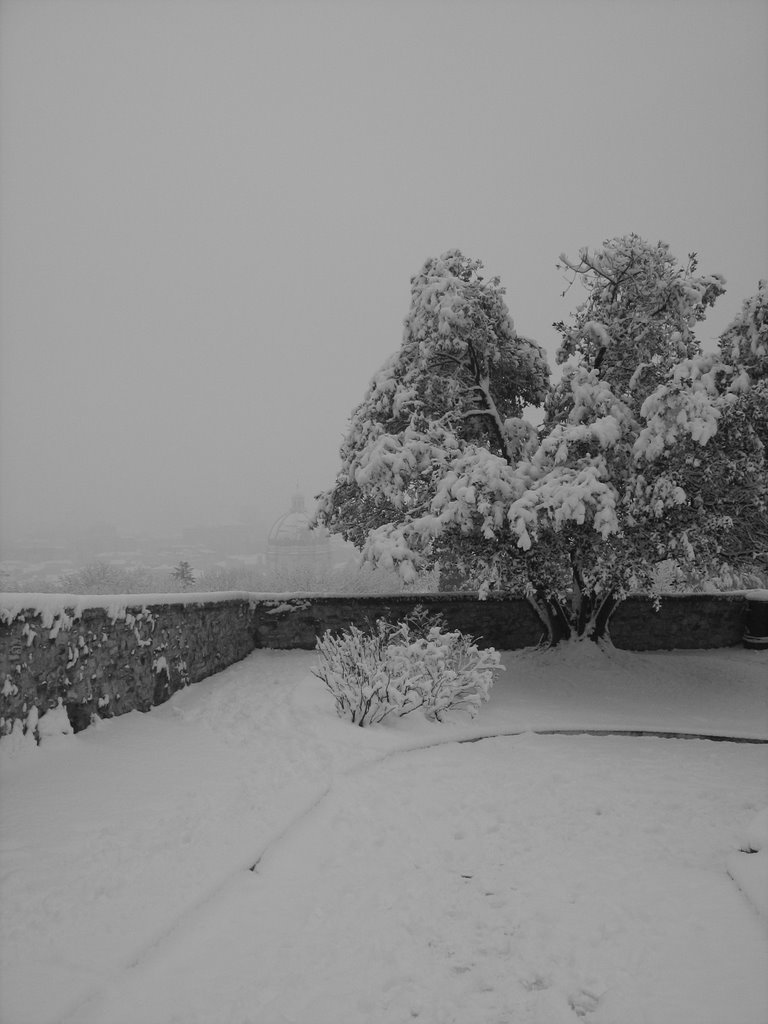 Alberi e neve by Enrico Bocconi Azadi…