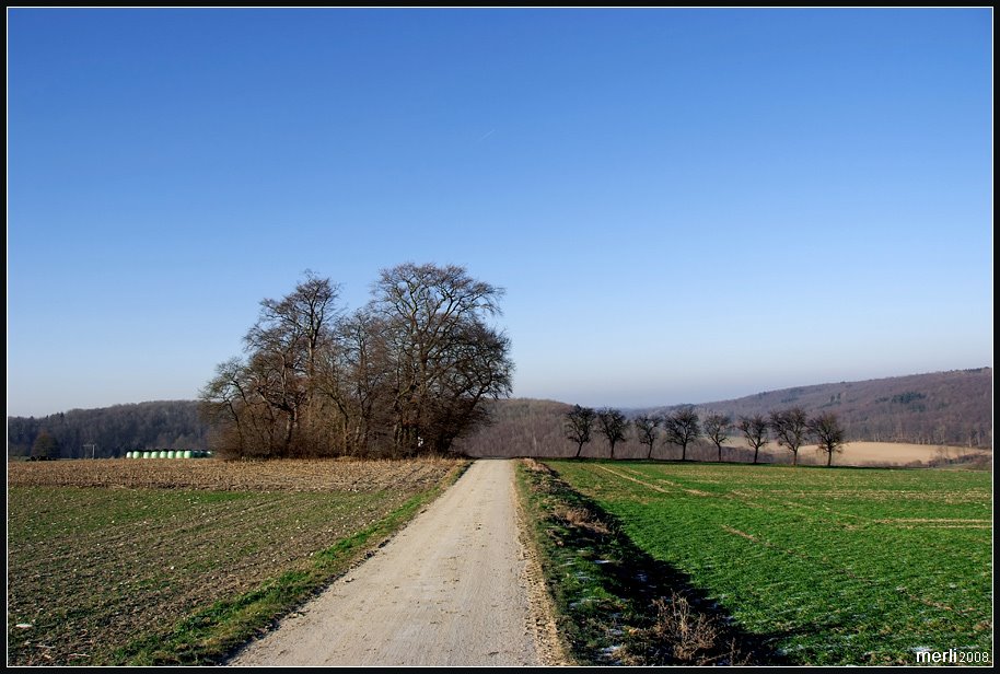 Merli: Auf dem Weg zum Steinkammergrab by merli