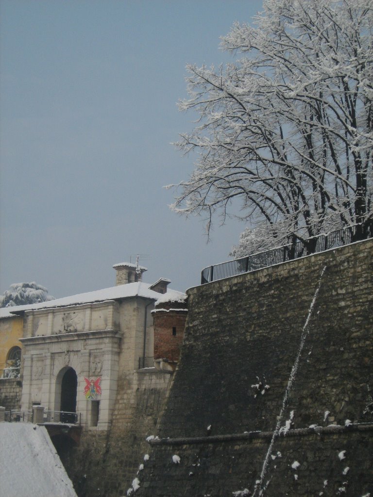 Mura e alberi by Enrico Bocconi Azadi…