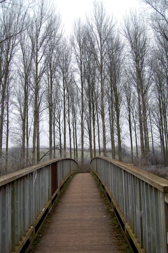 Bridge Over the River .... by Amelia Royan