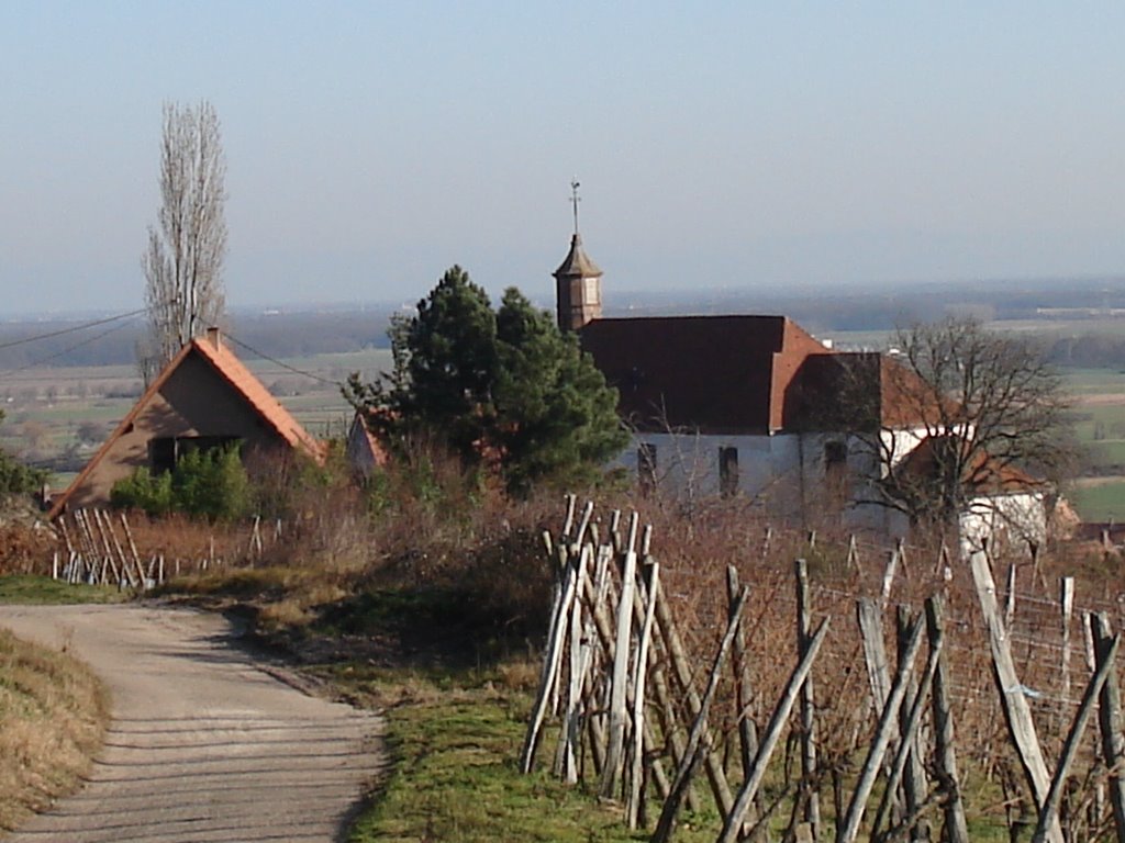 Eglise de DIEFFENTHAL by ~rol~ No Views!