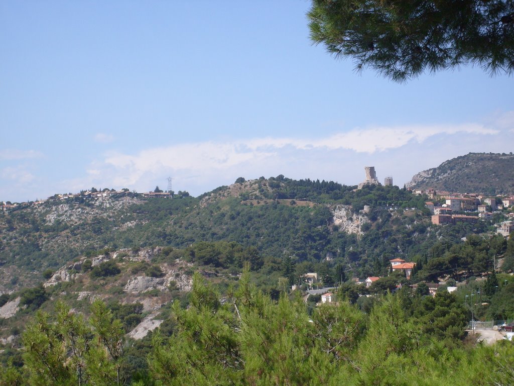 Inland from Monaco by David Colyer