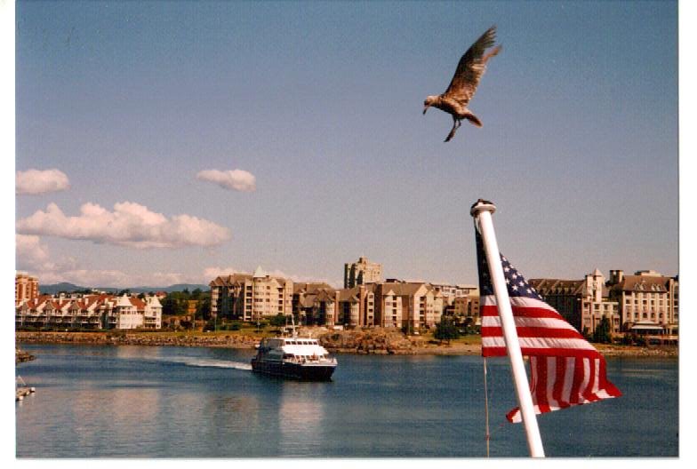 Victoria, British Columbia by David Kanzeg