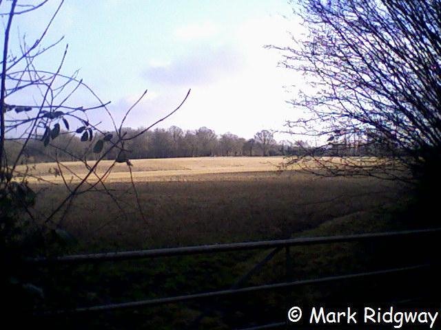 Fields by Kingswood Way (1) by Mark Ridgway