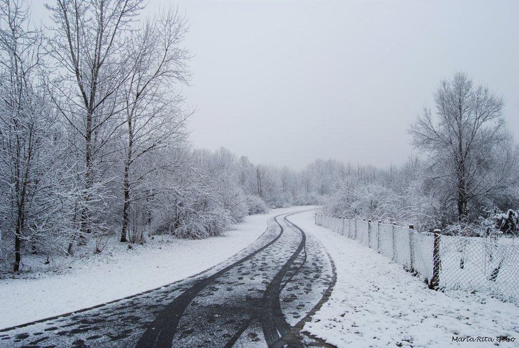 Una strada da percorrere: primo giorno di un nuovo anno by Gelso Maria Rita