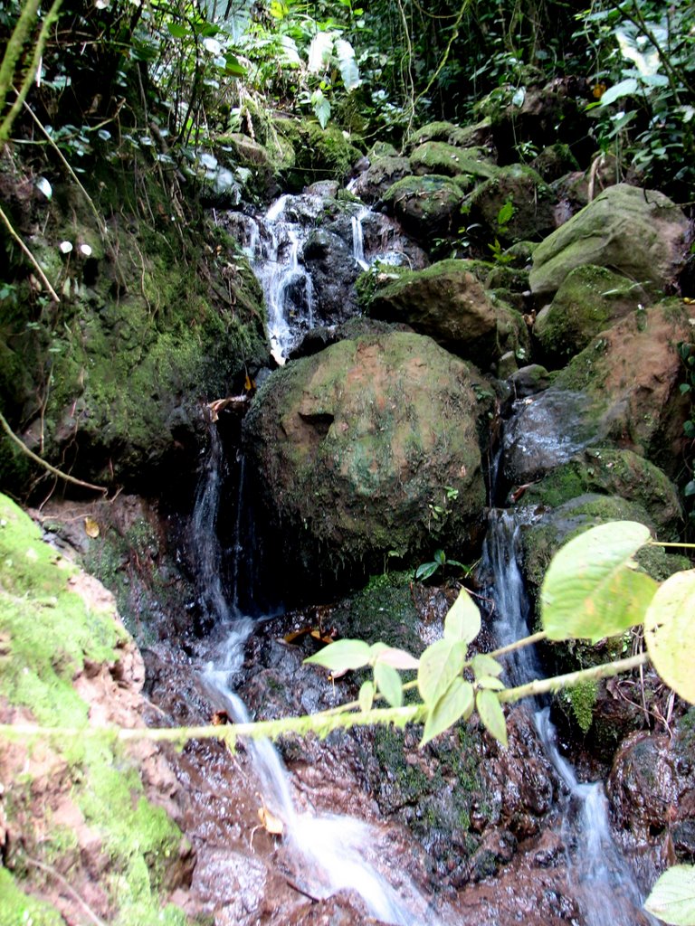 Pequeña cascada camino al silencio by marcelo ortiz