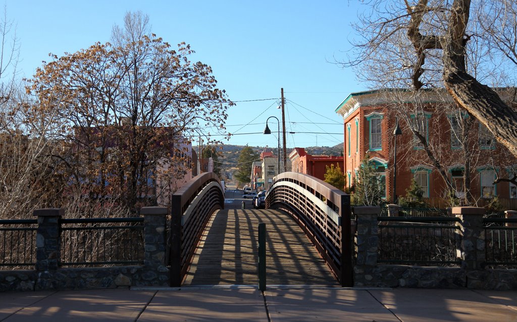 Looking East Over Ditch Footbridge by D.M. Thorne