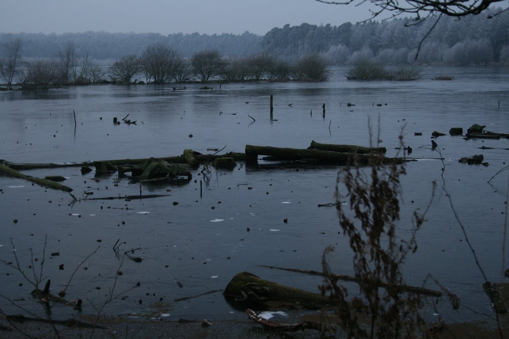 Blakemere, Delamere Forest New Year's Day 2009 by m davies