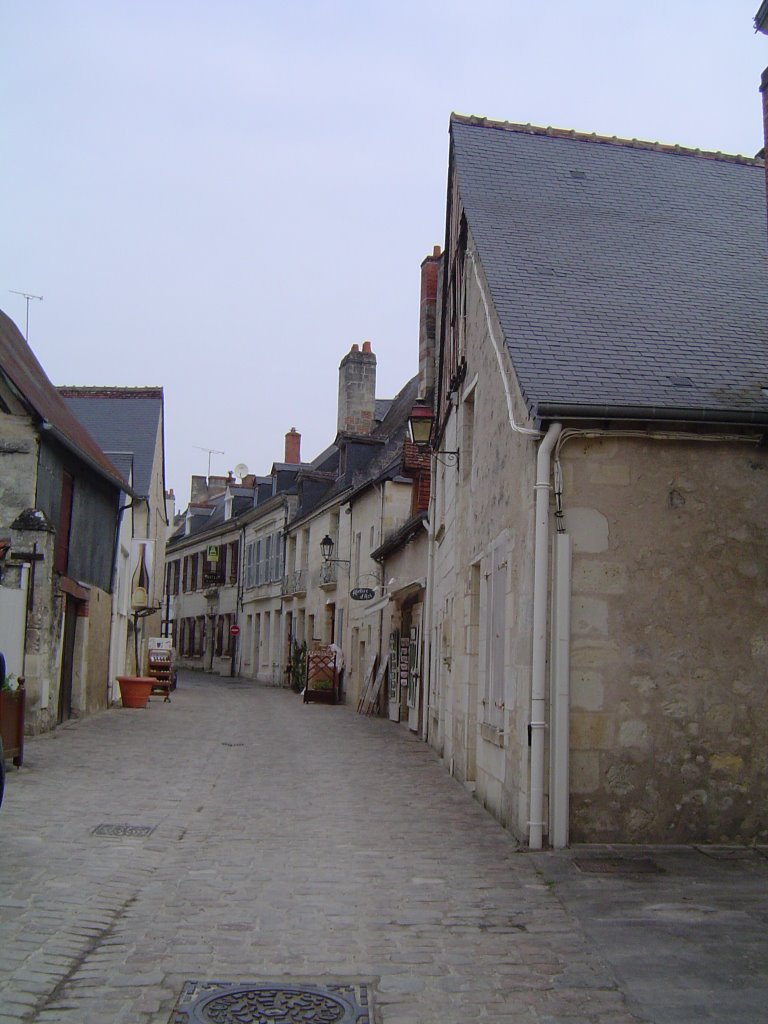 Azay-le-Rideau by ddeconomia