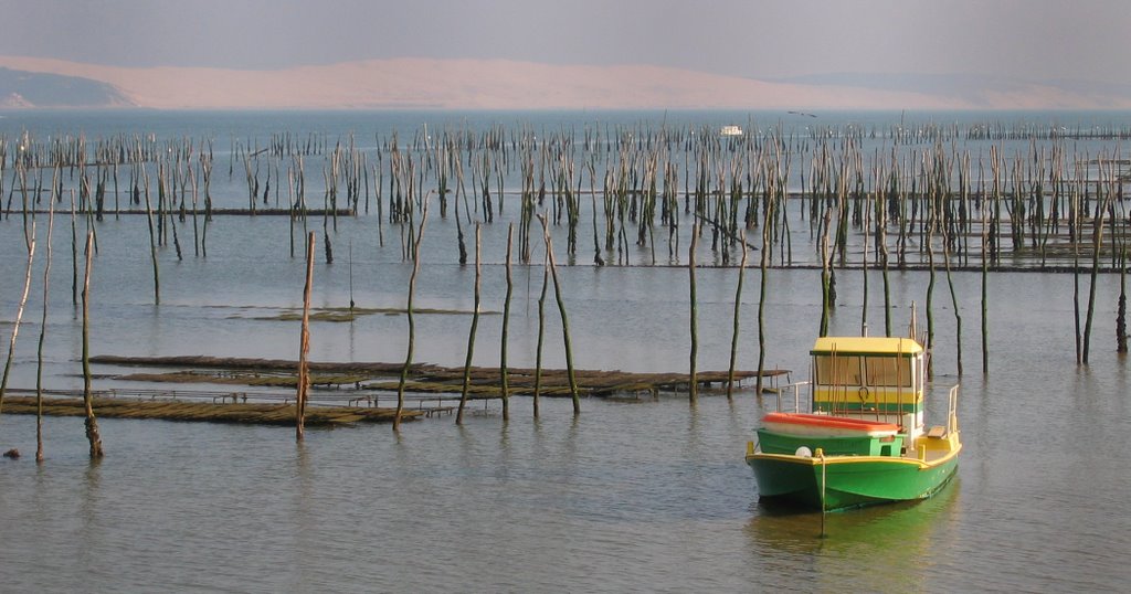 Cap Ferret by hlbr