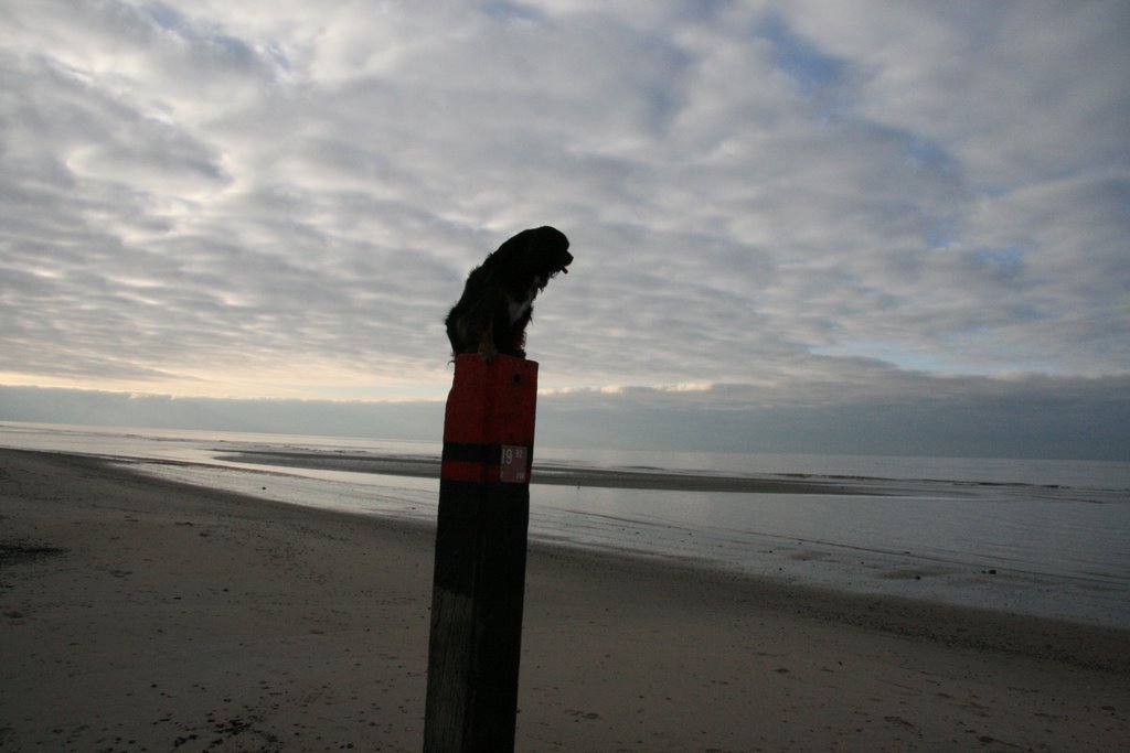 Texel by Dirk