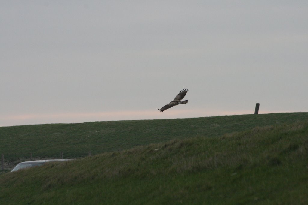 Texel by Dirk