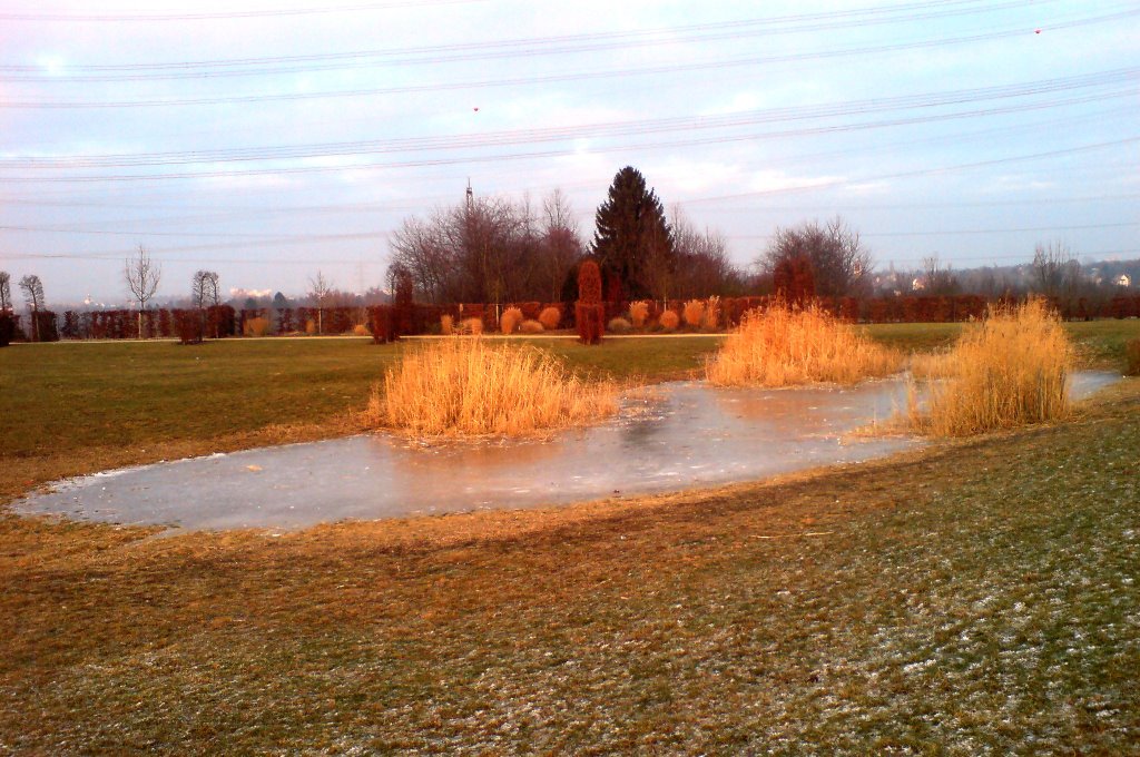 Wintertime, the new park (Ziegeleipark) in Kriftel by MMcM