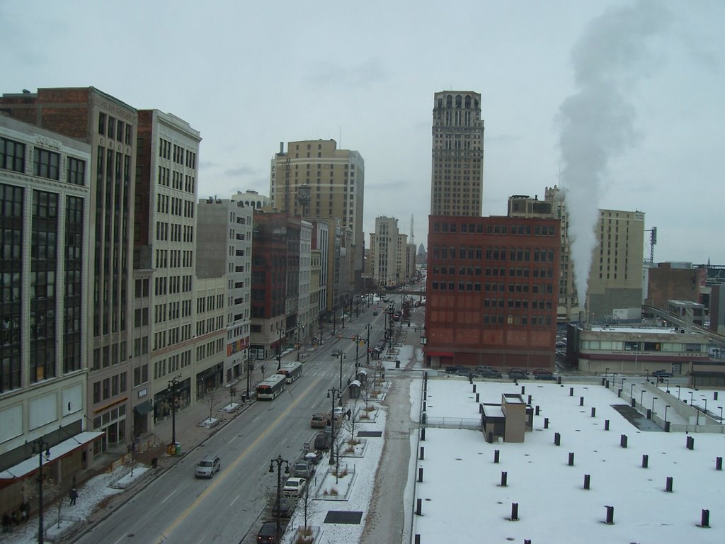 View north from Compuware Bldg. by csturgeo