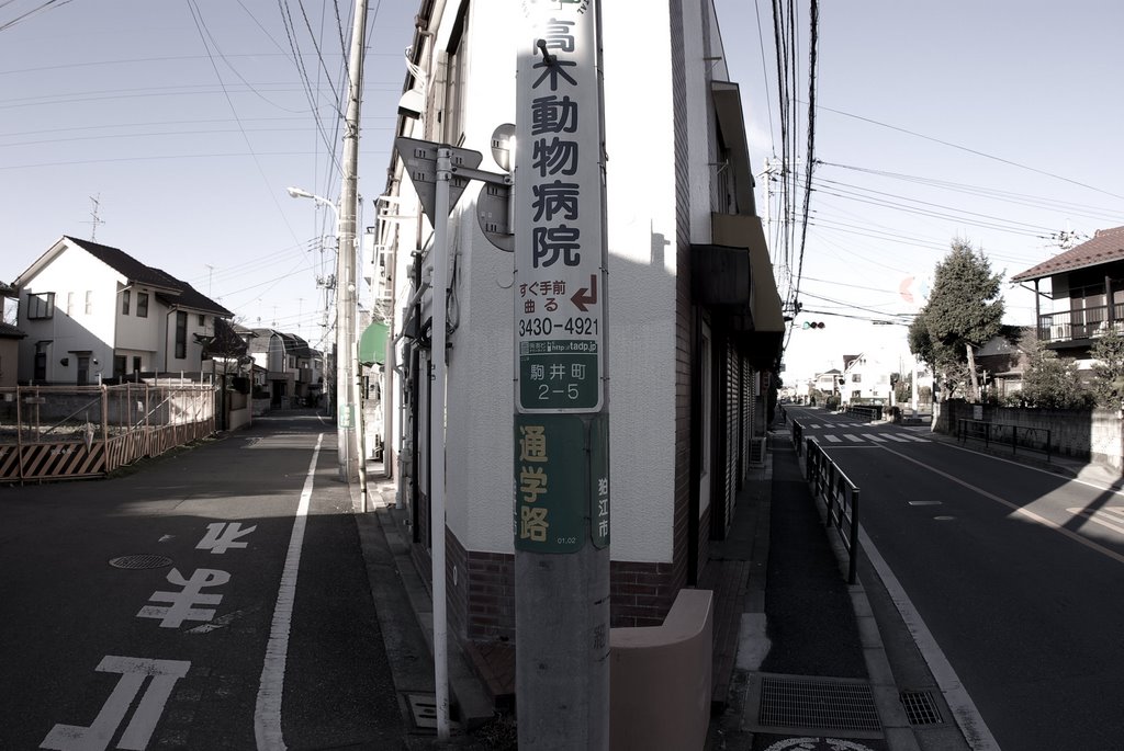 Acute angle house by Matsubayashi