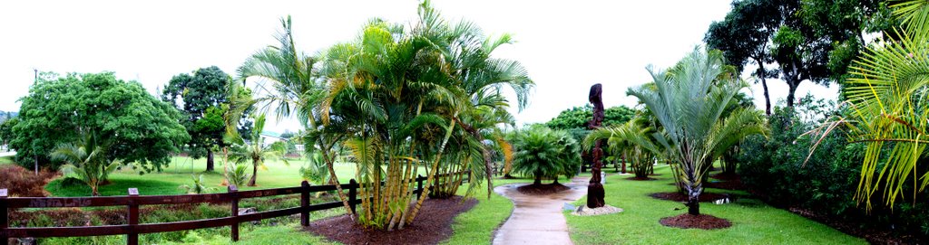 Mc Parc de LAFOA, entrée nord by ml.claude