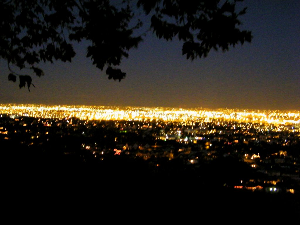 View from Friendship Park at Dusk by psilocub