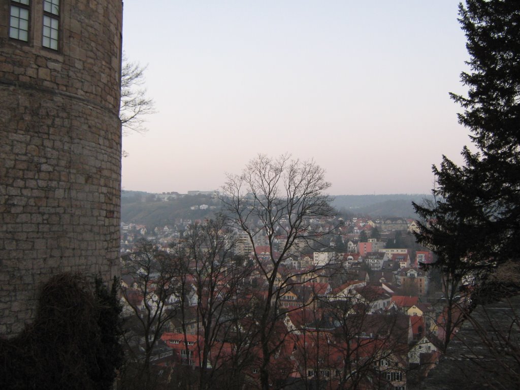 Blick über Tübingen by WEOSRA