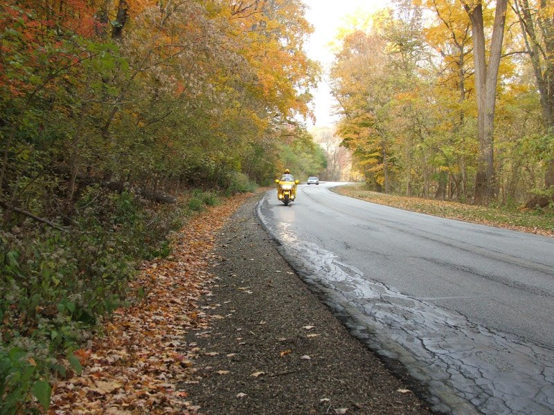 Fall ride in the park by Yellow Goldwing