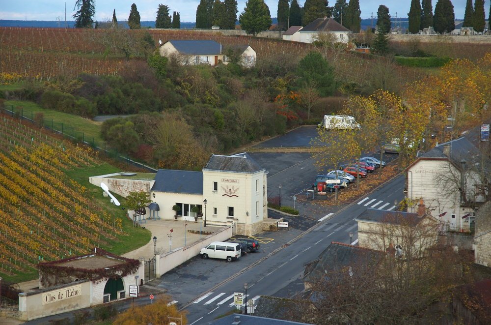 Chinon vue du Château by Rouvière Philippe