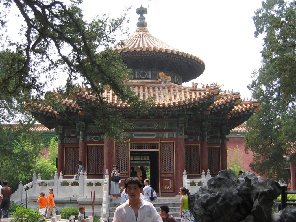 Imperial Garden, Forbidden City, Beijing by Sarah Lendon