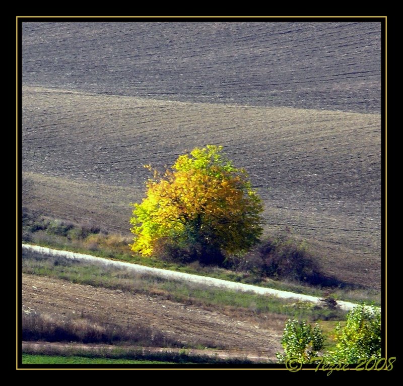 Landscape-Kesztölci táj 2 by tezse