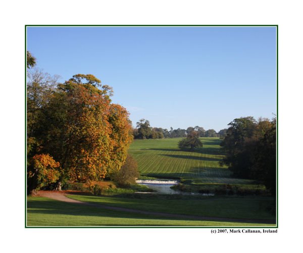 Autumnal Morning in Doneraile by callananphoto