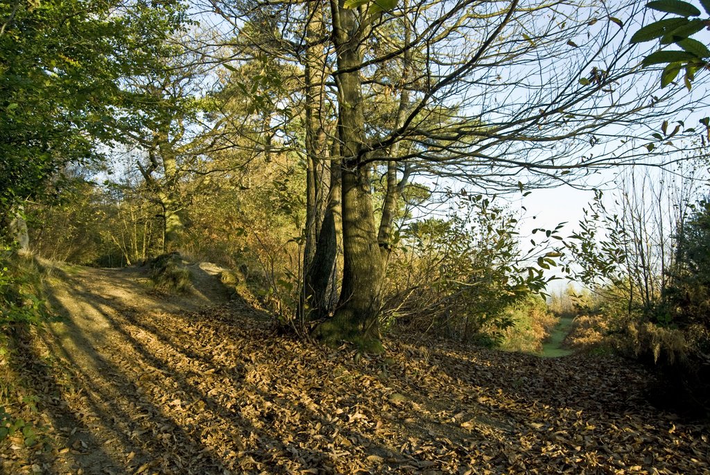 Greensand Way through Surrey Hills by Brian Simmons