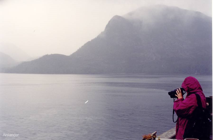 AK Metlakatla Island: Looking for the Bald Eagles by Aislander@ymail.com