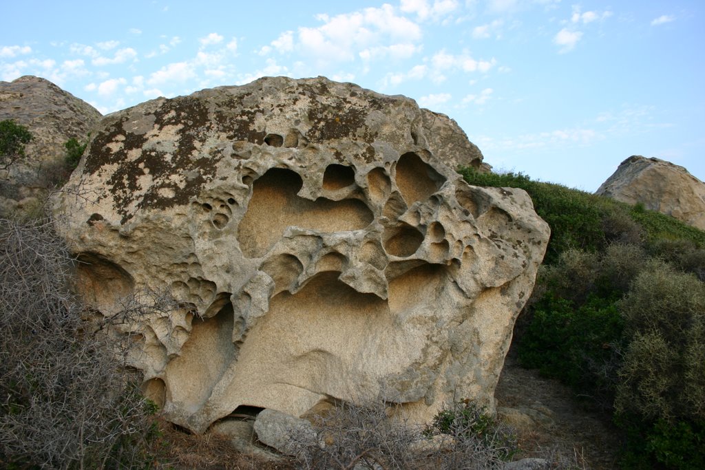 The sculpture of the nature by stillos