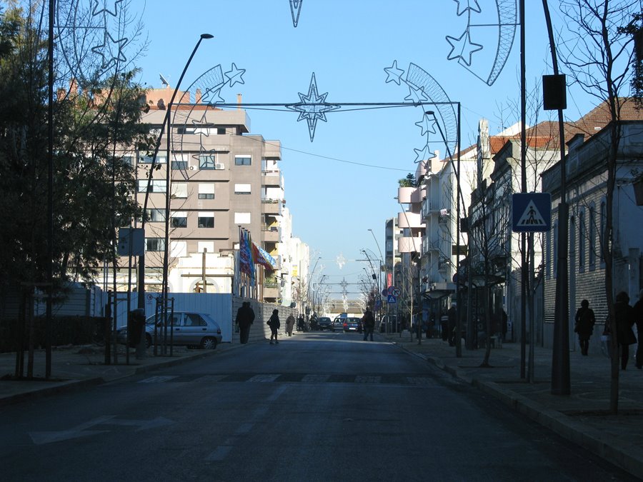 Avenida Alfredo da Silva by André Barragon