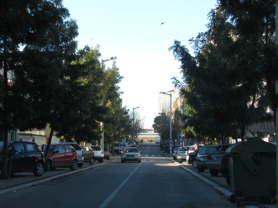 Avenida Afonso Henriques by André Barragon