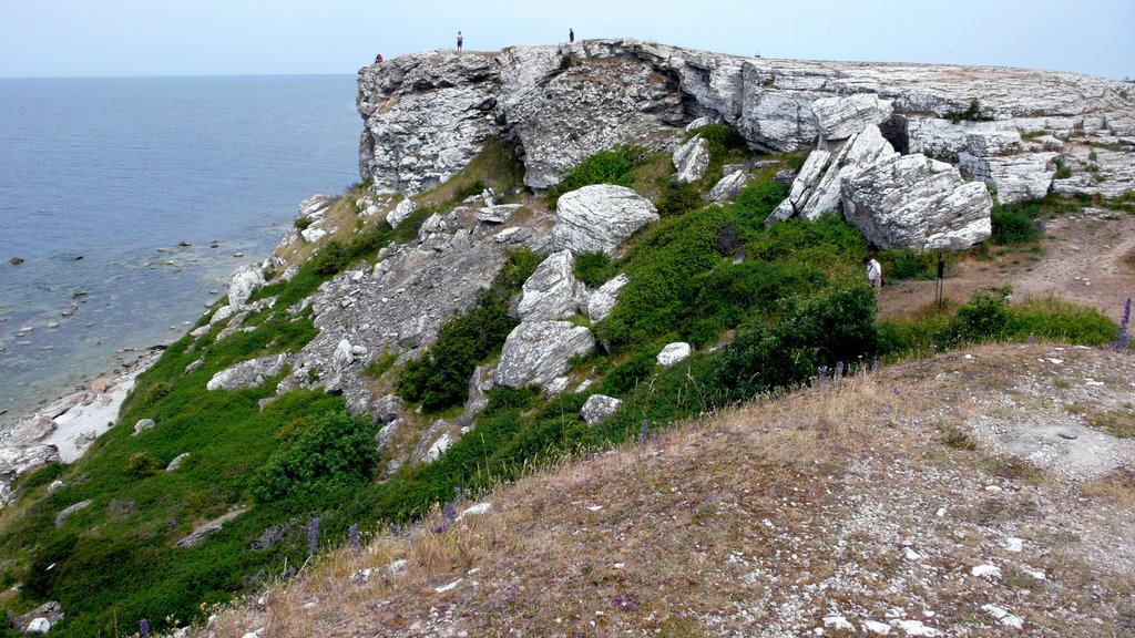 Cape Hoburgen, Gotland by Vitum