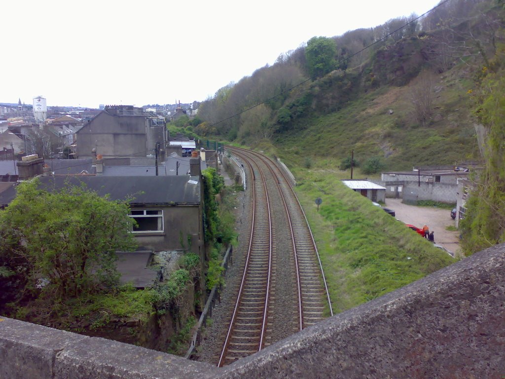 Cork-Cobh Railway by Dennis Sheehan