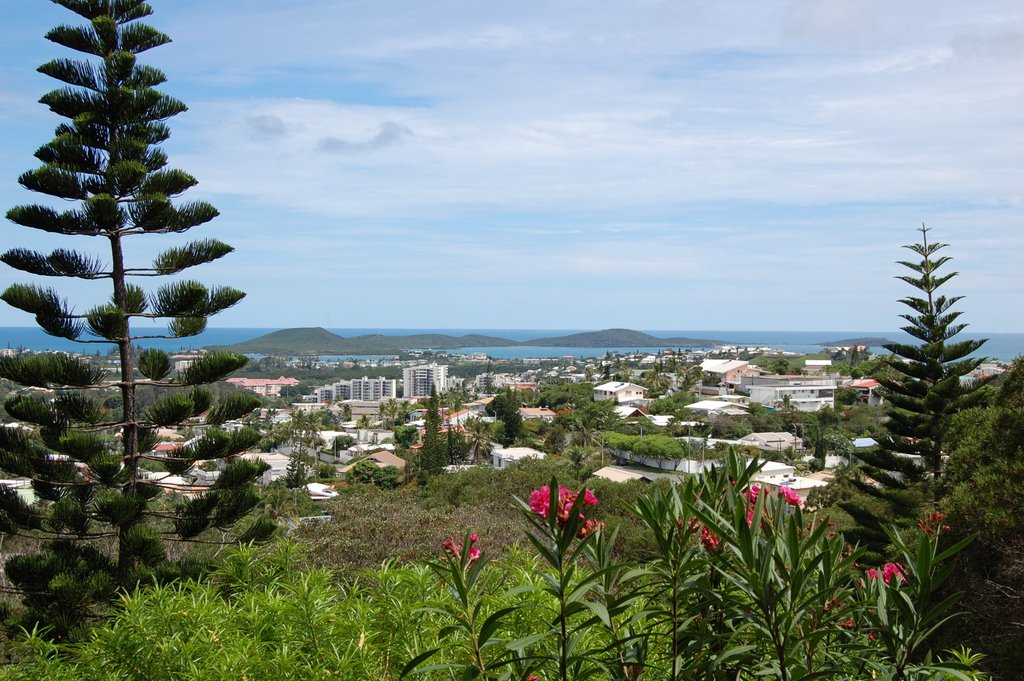 Nouméa et l'ile N'géa vu du parc forestier by Philippe Esposito