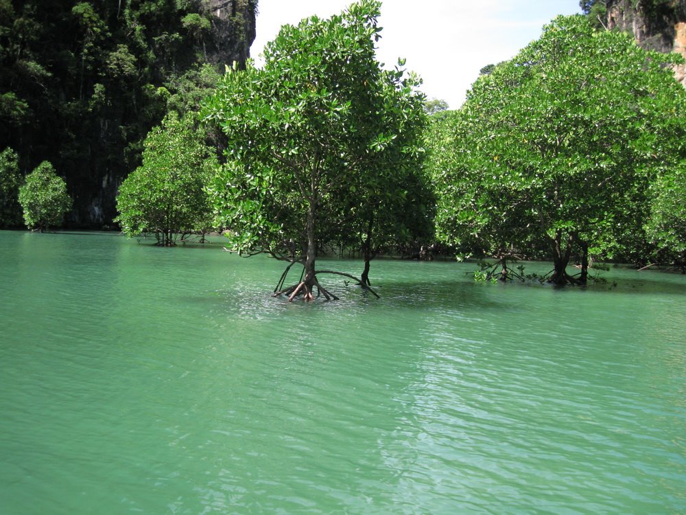 The Laguna on Hong Island by sandra wendel