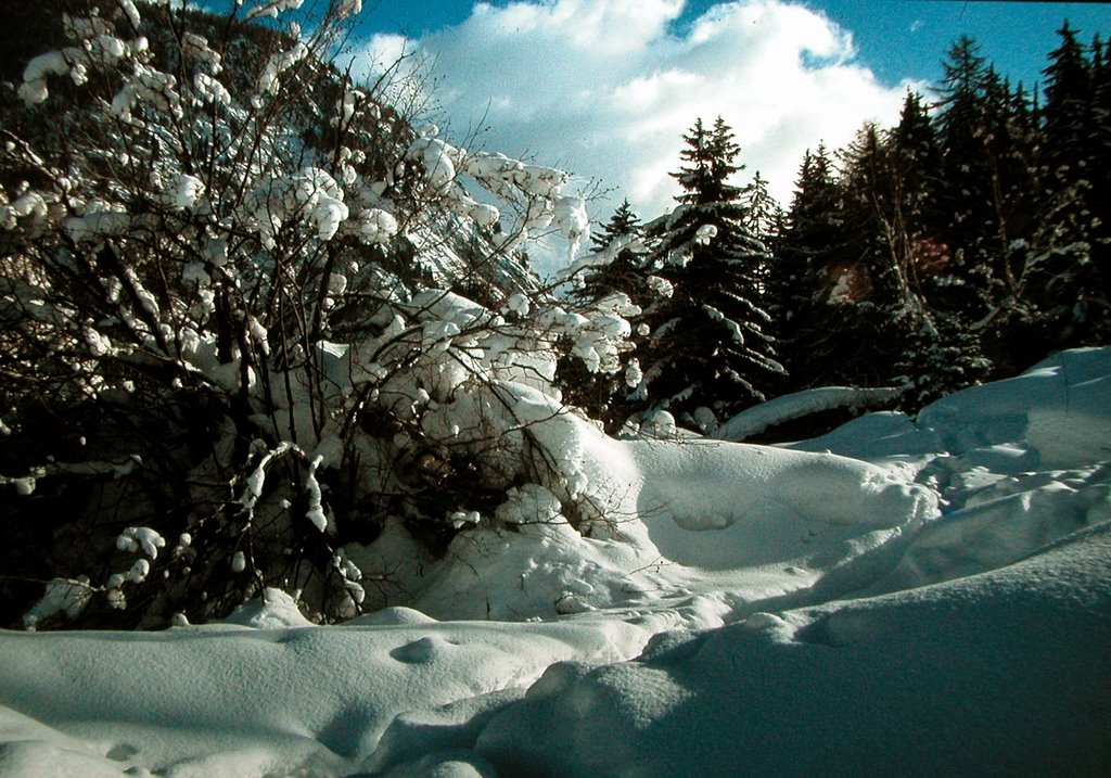 Bei Blatten Belalp by Viola sonans