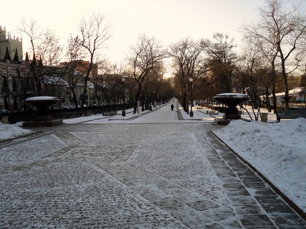 Park in Downtown Moscow by ElwoodBlues68