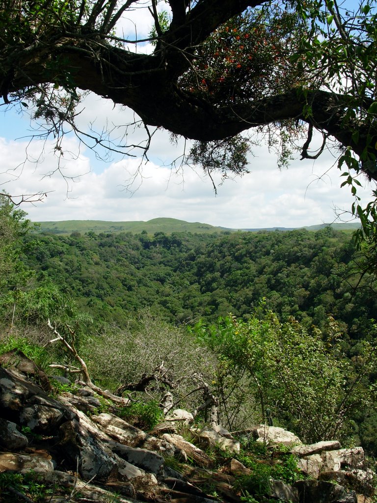 Quebrada en "Sierra del Infiernillo" by Juan Pablo Nebel Fue…