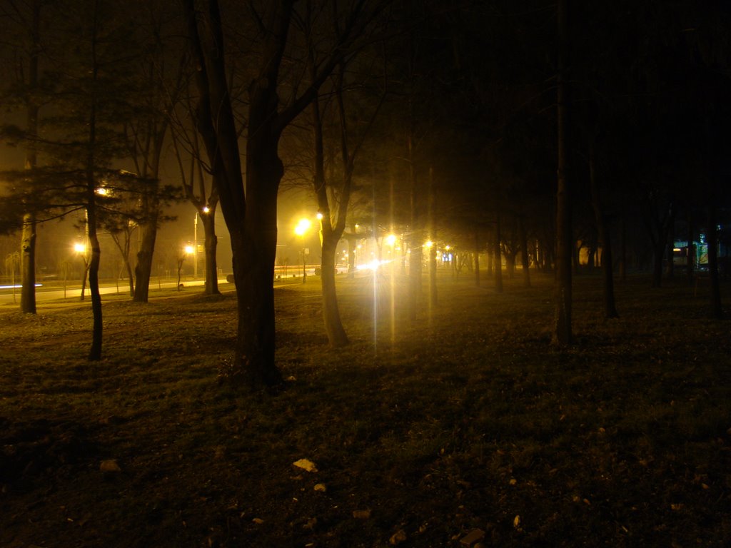 University Park by night by Reyin