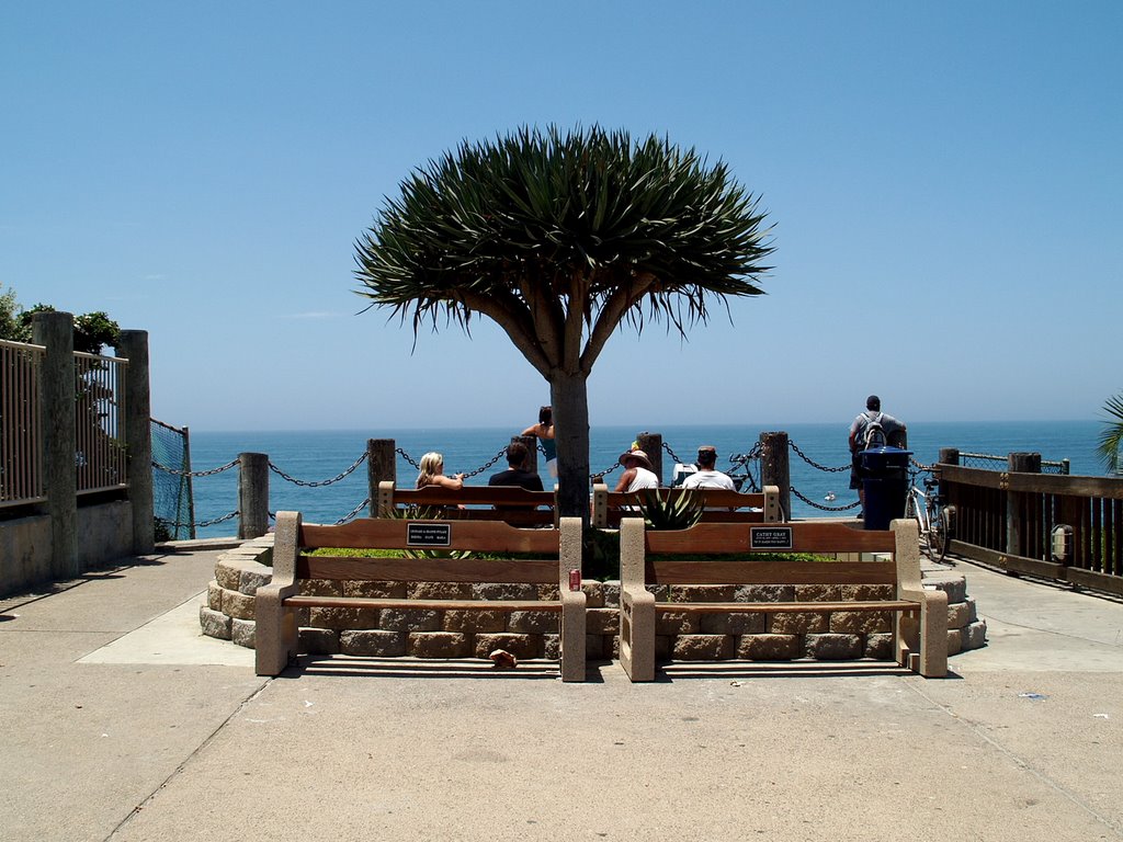 Encinitas Public Beachview by Karlheinz Rogge