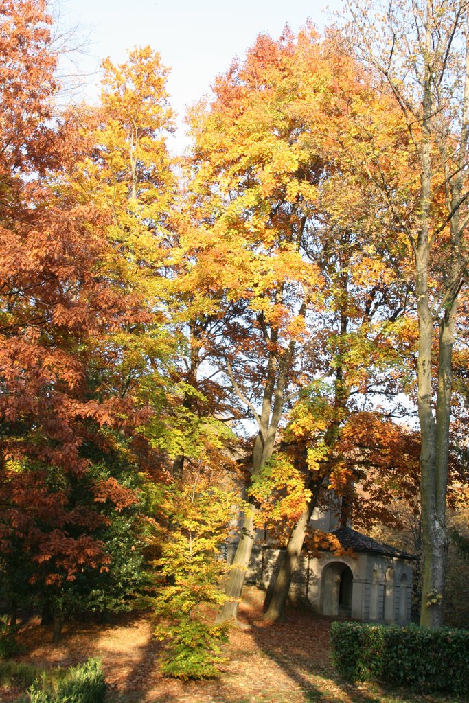 SANTUARIO ORTA-PARCO D'AUTUNNO by sauro oliva