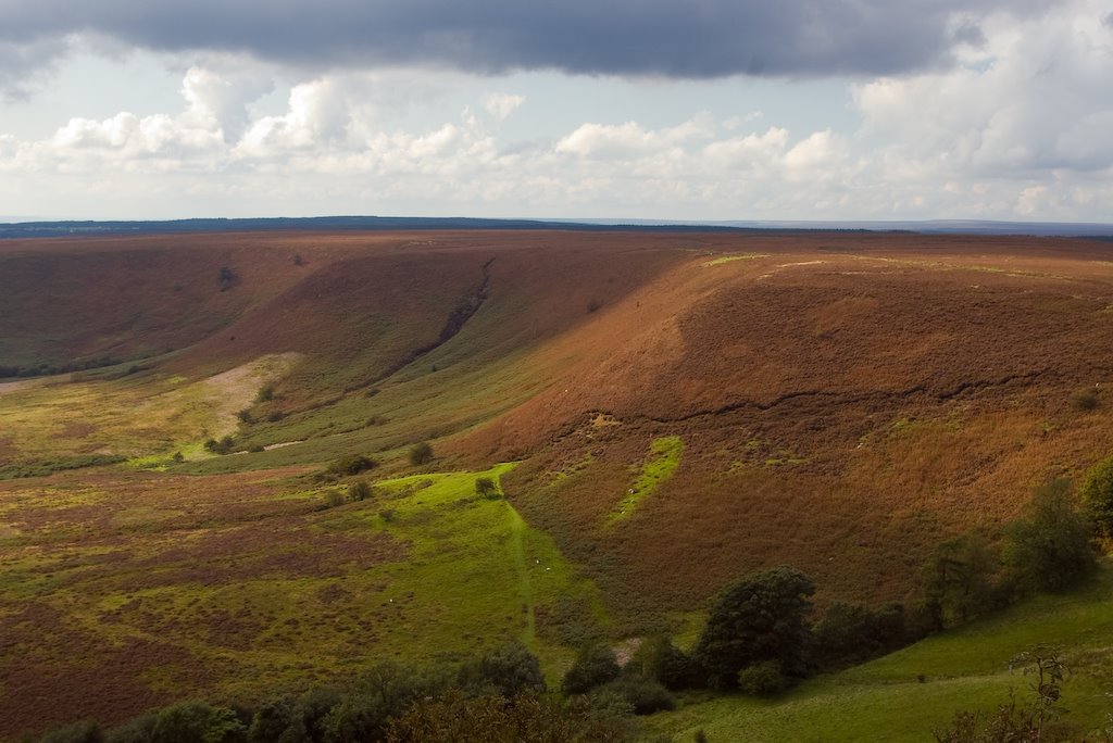 Yorkshire Moors by Marcin Partyka