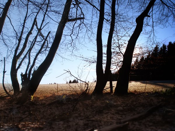 Auf dem Wanderweg zum Homertturm by svo24